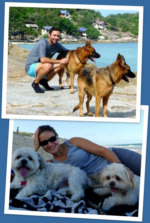 Pet Sitter Marketplace