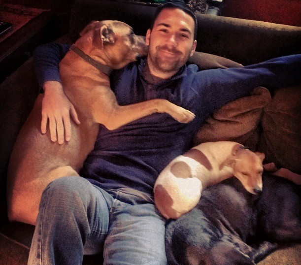 Premium Pet Sitters